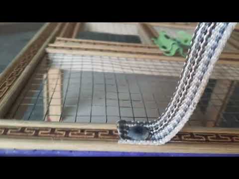 قفص مال فك طيور العرض ٤٠ الرتفاع ٢٥ النزال ٧٠ وهاذه رقمي ٠٧٧٢٢١١٩٠١١