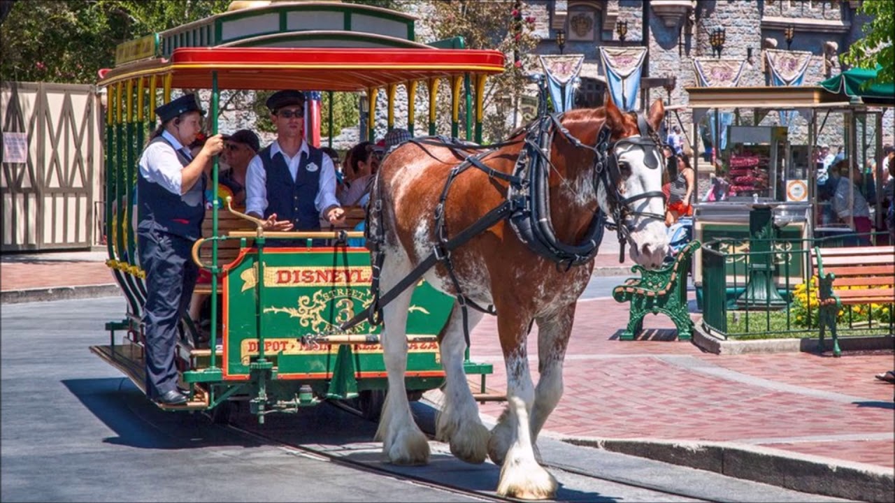 Horse Hooves Clipclopping On Pavement Free Sound Effects City
