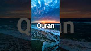 Quran Surah Yunus || Ayat 11-14 #quranayat #urdutranslation #hindi