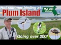 Going over 200 species with incredible birds at Plum Island!