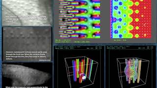 Quantum vortices in type-II superconductors: experiments and simulations