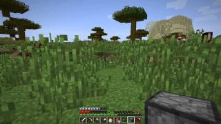 Minecraft 1280X720 Test