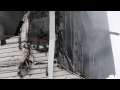 Man Saves Family From Pilsen Fire
