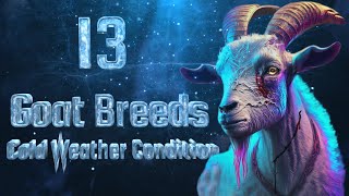 13 Best Goat Breeds For Cold Weather | Winter Goats | Hardy Goat for Extreme Condition | Snow Goat