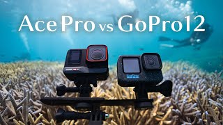 至高のダイビング用アクションカム決定戦  Insta360 AcePro / GoPro12