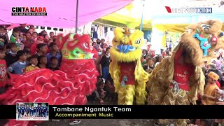 BARONGSAI (KOPI DANGDUT) | VOC. TAENI || BUROK CINTA NADA BUDAYA || SHOW KLUWUT 26/01