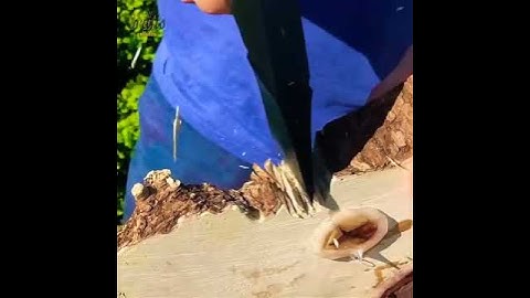 Making An Axe Legs Live Edge Coffee Table