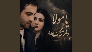 Ya Mola Delam Tang Amada | یا مولا دلم تنگ آمده