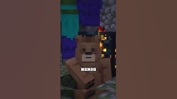 ДЮП БИРКИ В МАЙНКРАФТ #shorts