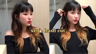 HAIR ✂ 셀프 허쉬컷, 레이어드컷 ㅣ self hush cut, layered cut ㅣ 거침없이 싹둑 ㅣ 부야BUYA