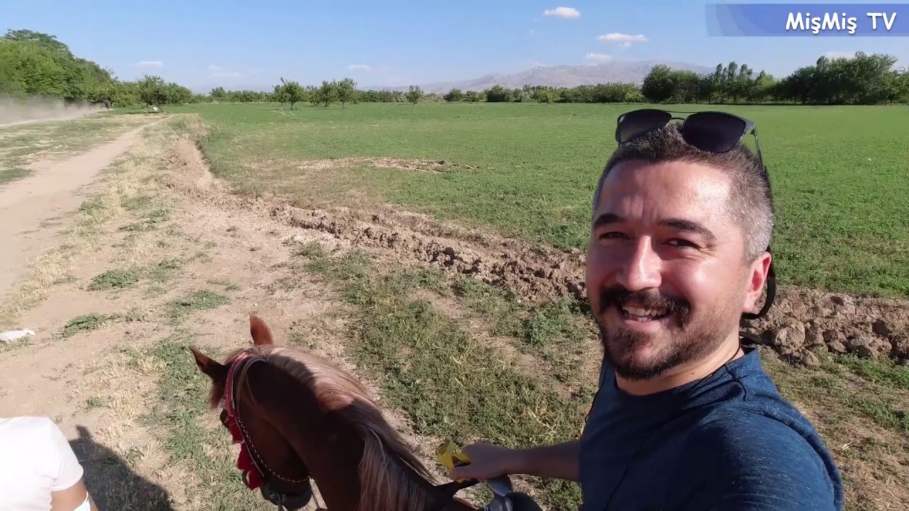 Malatya'da atlı binicilik ve cirit kulubünde at binmeyi öğrendik