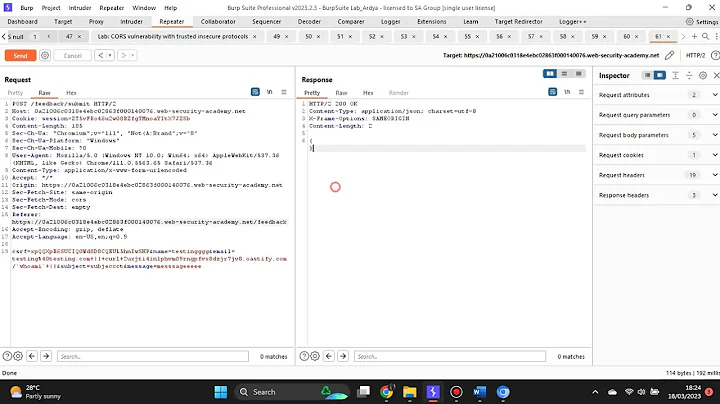 Portswigger Lab: Blind OS command injection with out-of-band data exfiltration