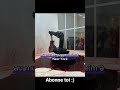 Ce Robot est condamné à faire le même movement sans fin