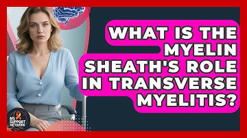 What Is The Myelin Sheath