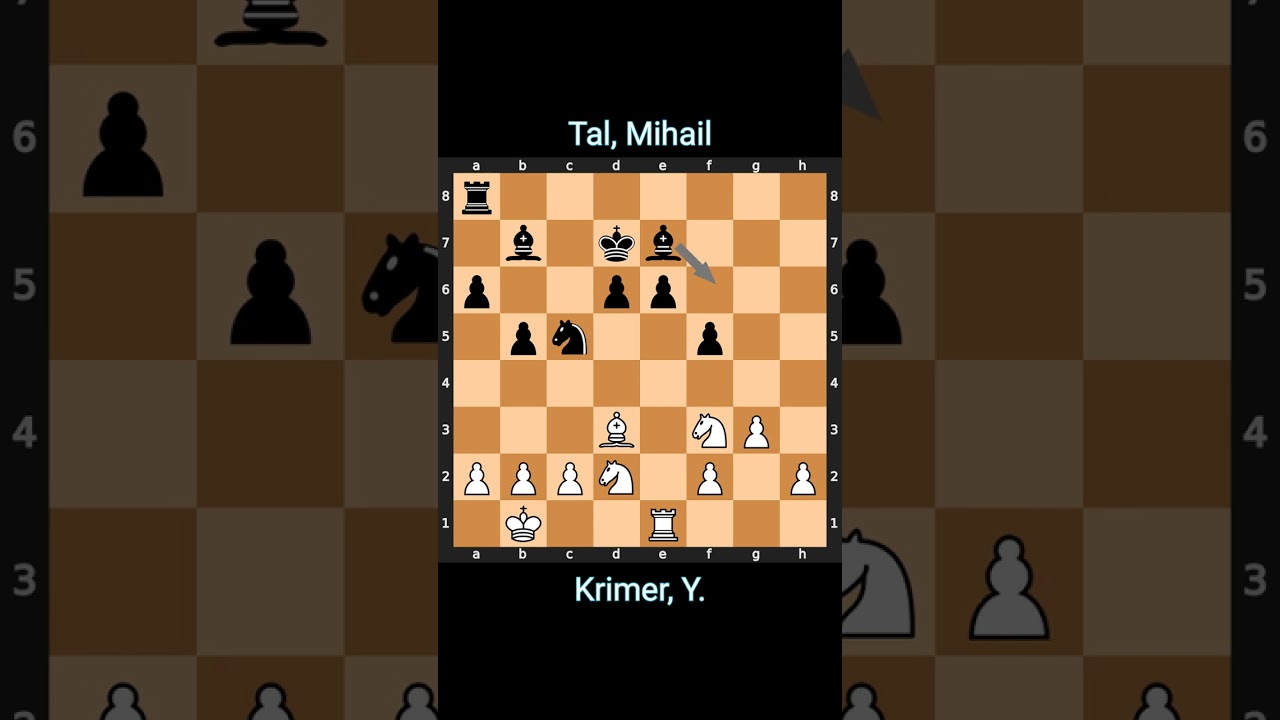Krimer Y. vs. Tal Mihail Circa on 1955