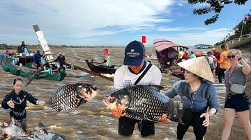 Lũ Mê Kông rút mạnh xuất hiện "THỦY QUÁI BIỂN HỒ" nặng 30 ký - Mùa ủi cá linh chợ Tân Châu