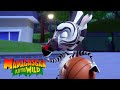 Basketball Layups and Sea Lion Pups | MADAGASCAR A LITTLE WILD