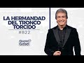 Dante Gebel #822 | La Hermandad del Tronco Torcido