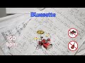 Bluesette - 160 bpm, Jazz Waltz, Chord Sheet + Drums, NO BASS, NO PIANO, Play-Along