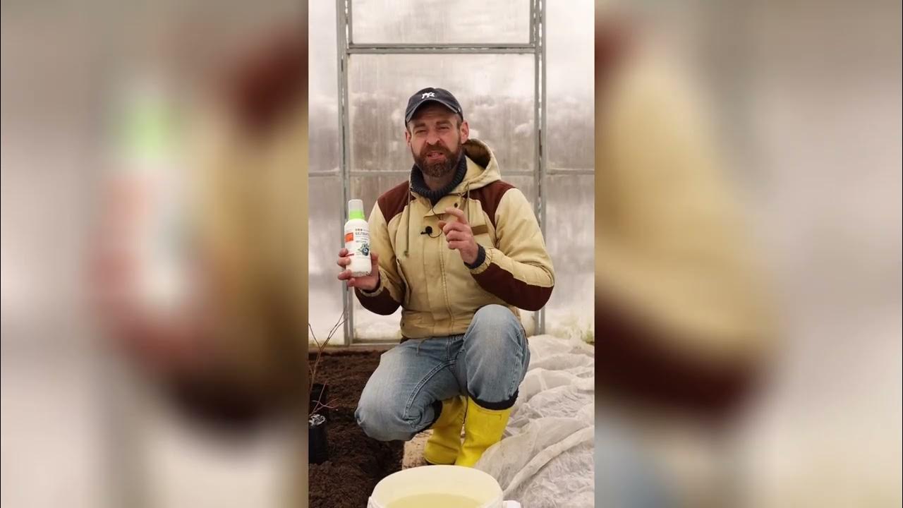 Удобрение комплексное жидкое Белвито для голубики. - YouTube