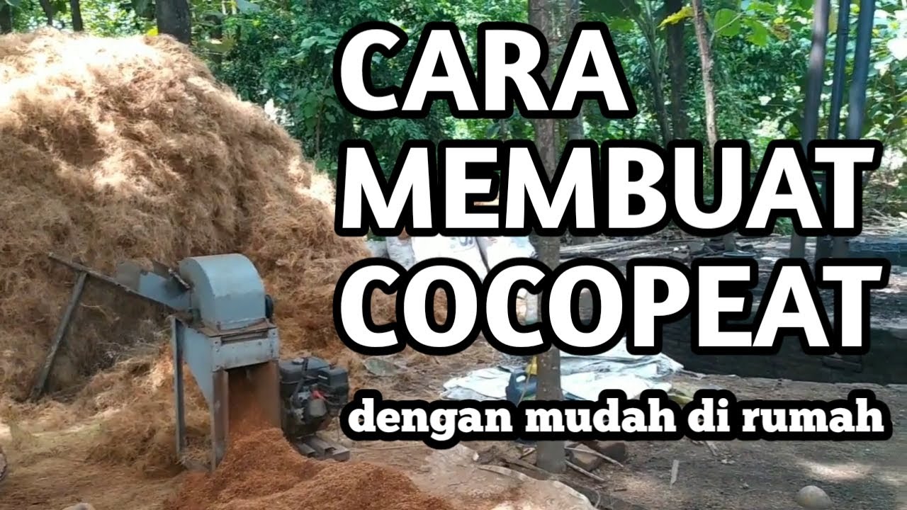 Cara Membuat Cocopeat dengan Mudah Di Rumah media tanam organik kamu