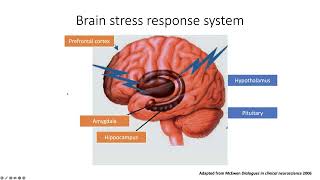 Neuroscience of Stress and Metabolism