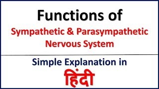 Functions of Sympathetic & Parasympathetic Nervous System  in Hindi | Bhushan Science