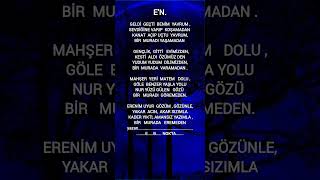 Bir Murada Eremeden Resimi