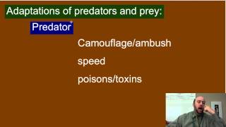 APES Species Interactions