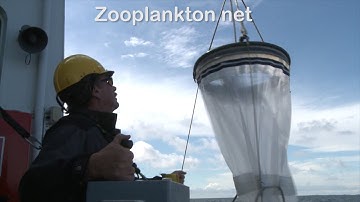 Plankton sampling on the Finnish research vessel Aranda