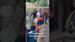 Great Entertainment At Marsden Ave - Mt Eden, Auckland.