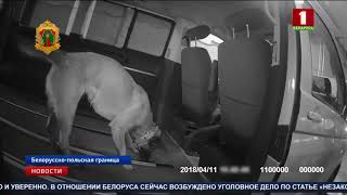 Почти центнер гашиша изъяли белорусские пограничники у жителя Бреста Почти центнер гашиша изъяли белорусские пограничники у жителя Бреста