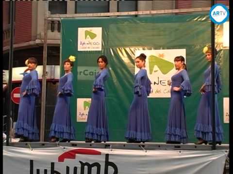 Espectáculo de Sevillanas y Flamenco