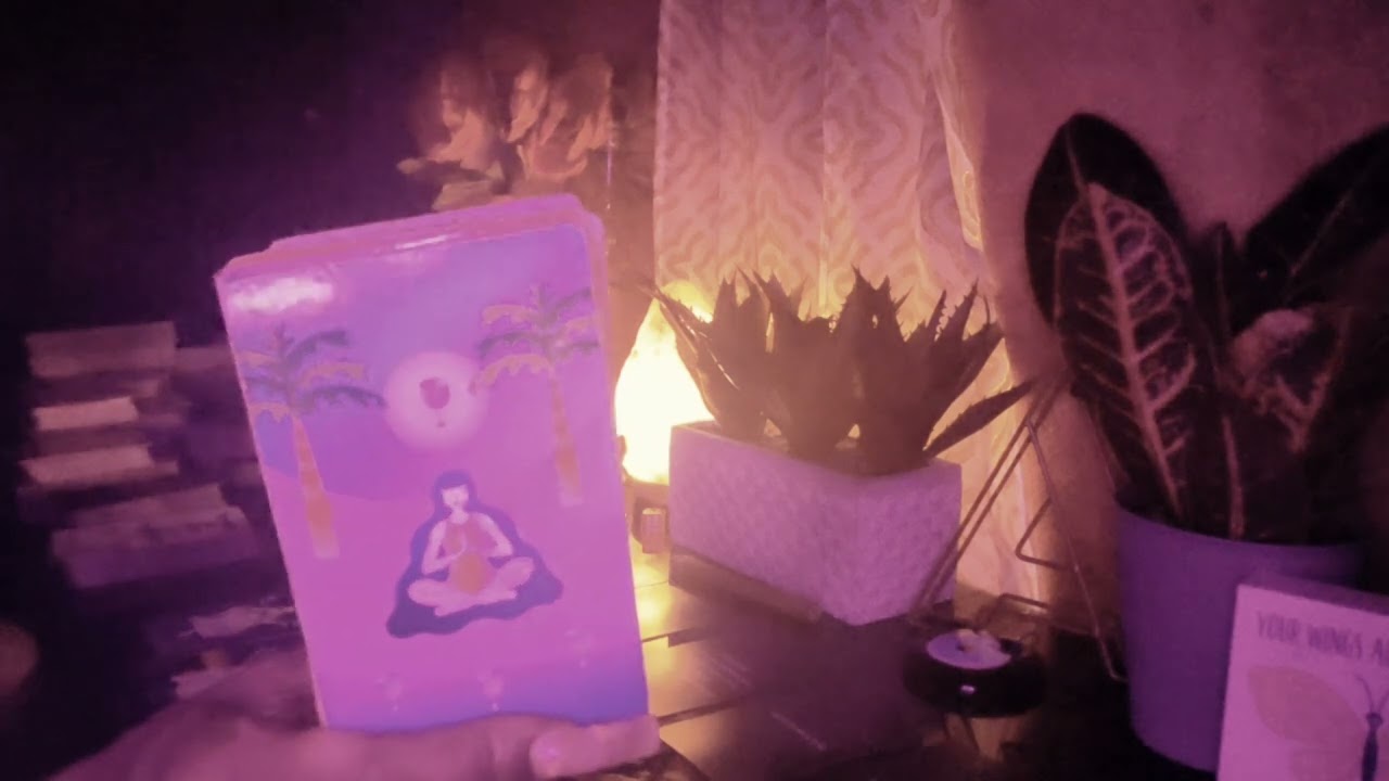 👀HE NEEDS TO CALL THE POLICE 🚔 ON THIS KARMIC SHE'S PUTTING PAWS 🐾 ON HIM...