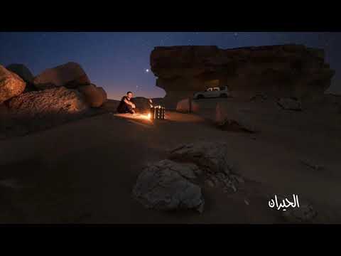 شيلة غردي ياحمامه