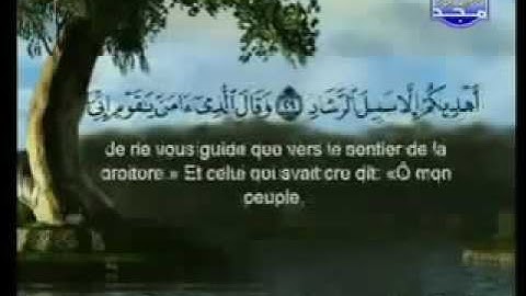 سورة غافر |الشيخ السديس والشريم Ghafir |Sudais & Shuraim