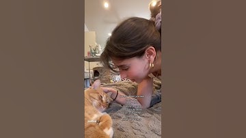 Thumbnail of Mary on a cross | Andrea Bejar (cover) with her cat ❤️ #lyrics #shorts #trending #music #cover