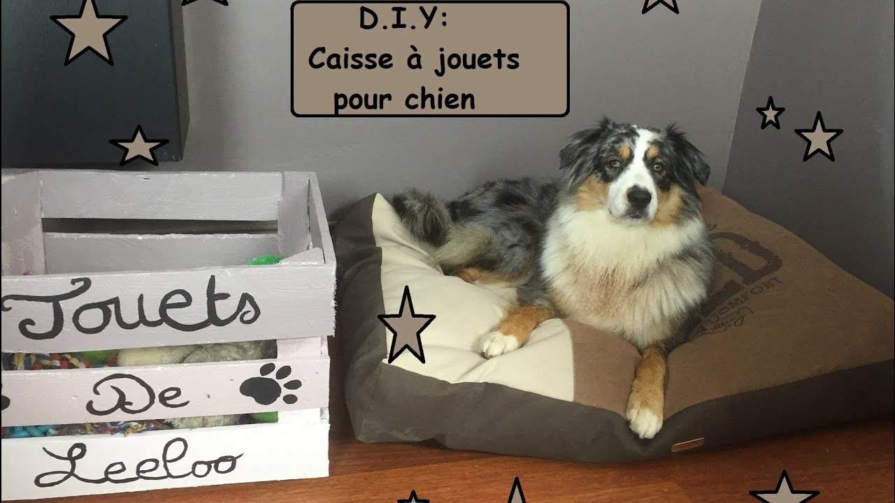 rangement jouet chien