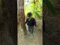 Patag pala ang pababa ng mt. 387, Patagilid