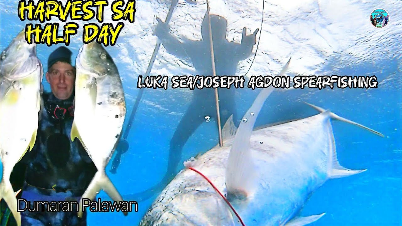 spearfishing 🇵🇭 half day pero paldo🤑 @LukaSea