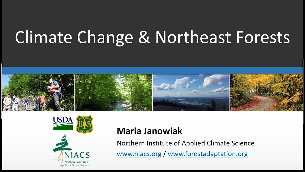 Climate Change & Northeast Forests - YouTube