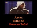 Аллах выбрал именно тебя!