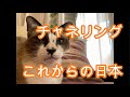 チャネリング　これからの日本