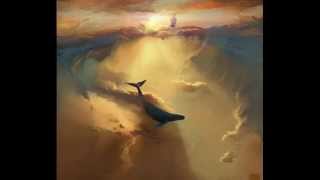 That's A Wrap: Thomas Bergersen