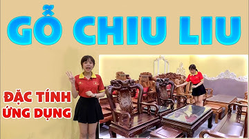 Nội thất gỗ Chiu Liu | Gỗ chiu liu là gì - đặc tính - ứng dụng