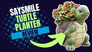 Saysmile Turtle Planter. CUTE &amp; EASY TO PLANT!