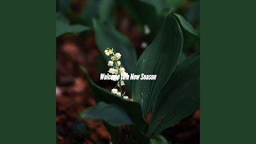 Subtle Music for Momentum Reflection