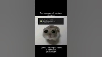 Офлайн рейдеры на шадике