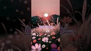 PoonthalirAada#PaneerPushpangal #Ilaiyaraaja#SPB#Janaki#80s# #EvergreenMelody#shortsviral#shortvideo