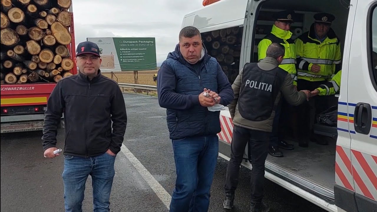 Mafia lemnului a fost lovită din nou !!! CATTANİ ! Poliția112 și İSCTR-ul în acțiune!